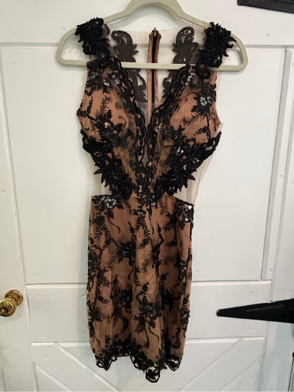 Sheer Lace Appliqué Mini Dress in Nude and Black